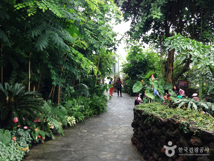 기차 타고 만나는 세계 5대 기후대 여행 가볼만한곳