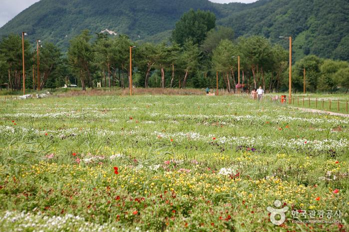 꽃밭 산책로가 조성된 자라섬 남도