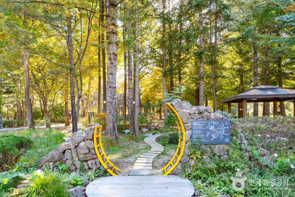 Yangjae Citizens' Forest, an outdoor family place, in Seocho-gu