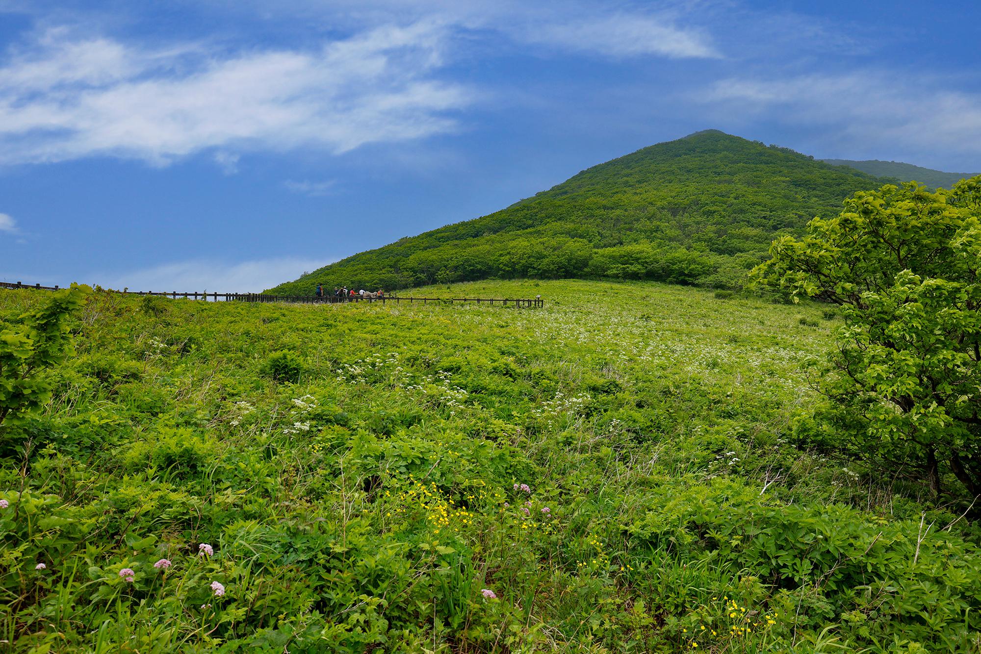 탐방로 오르막길 끝에서 만난 곰배령의 전경