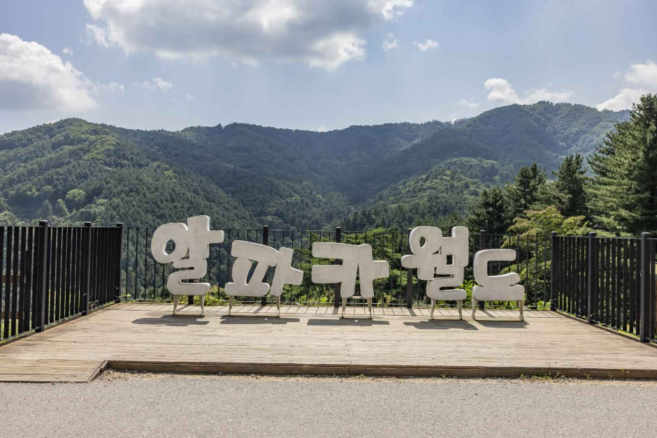 알파카월드 6