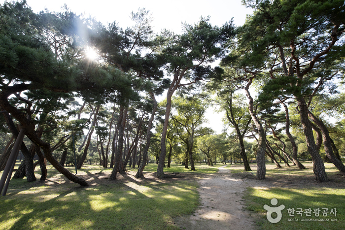 [경주] 온기 가득한 경주의 따뜻한 방> 여행기사 | 한국관광품질인증[Korea Quality]:대한민국 구석구석