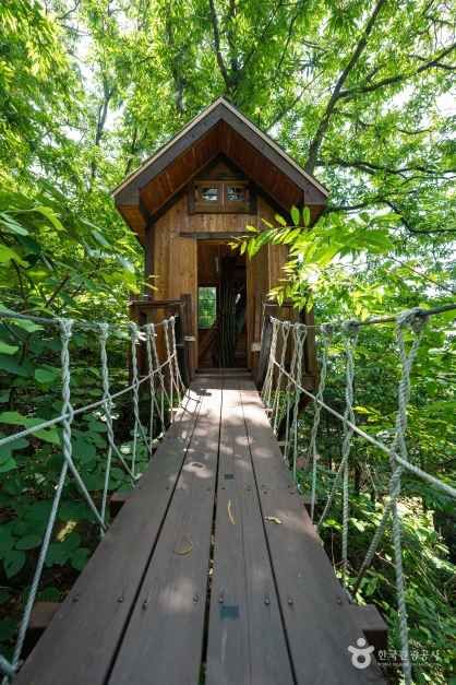 용인자연휴양림 7