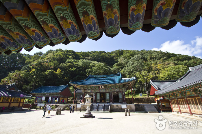 족욕공원, 산책로, 설악산을 품에 안다. 여행 가볼만한곳