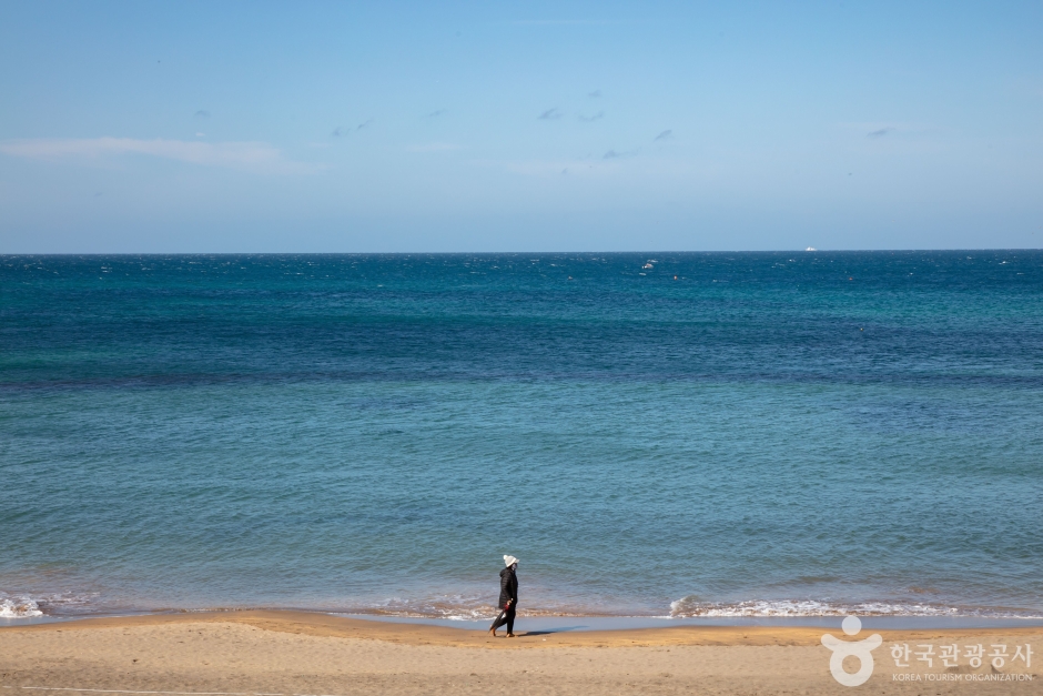 이호테우해변 풍경