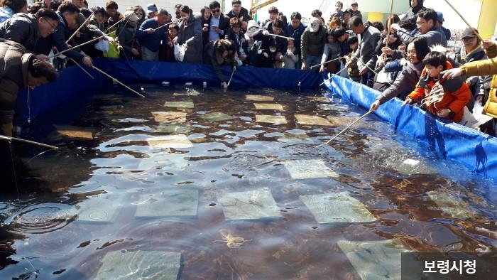 주꾸미·도다리축제에서 주꾸미 낚시를 하는 사람들_보령시청 제공(코로나바이러스감염증-19 국내 발생 이전에 촬영한 사진입니다.)