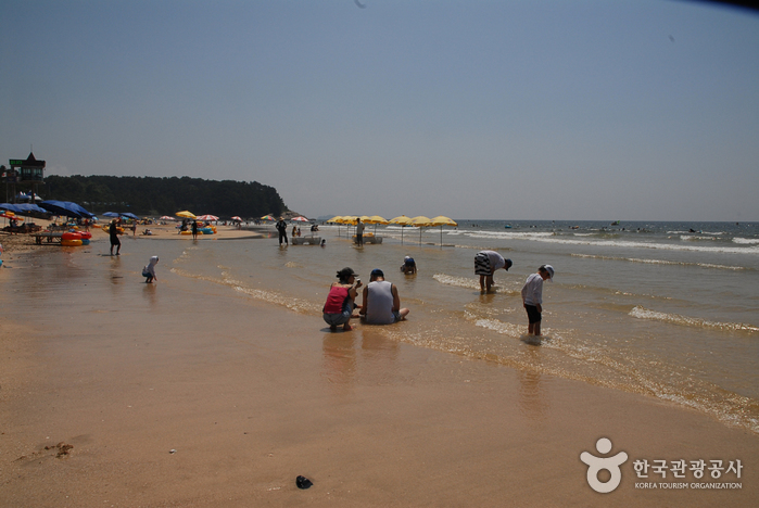 서해안 해수욕장을 따라 여행하다 여행 가볼만한곳
