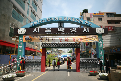 오래된 시장의 북적임과 들꽃이 가득한 홍릉수목원에서 하루를 보내다 여행 가볼만한곳
