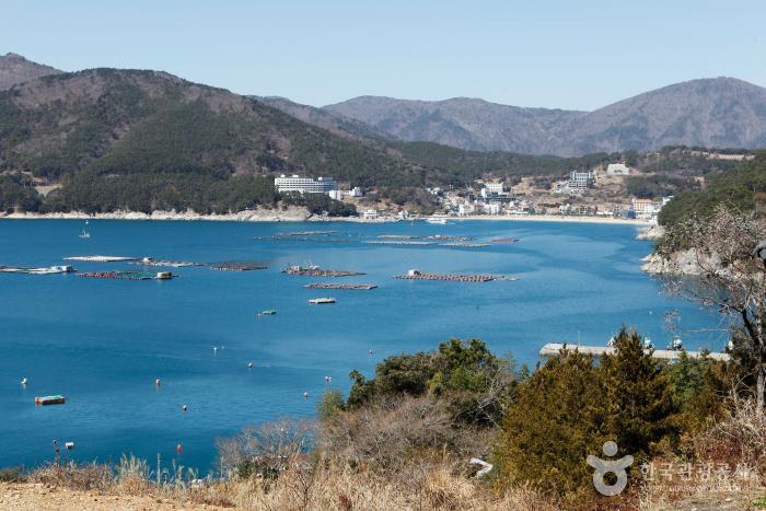 공곶이 가는 길에 본 와현모래숲해변