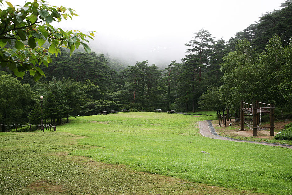 대관령자연휴양림 여행 가볼만한곳