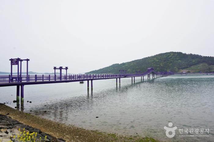 신안, 아이 천사와 다녀온 1004섬 여행> 여행기사 | 열린 관광 모두의 여행:대한민국 구석구석