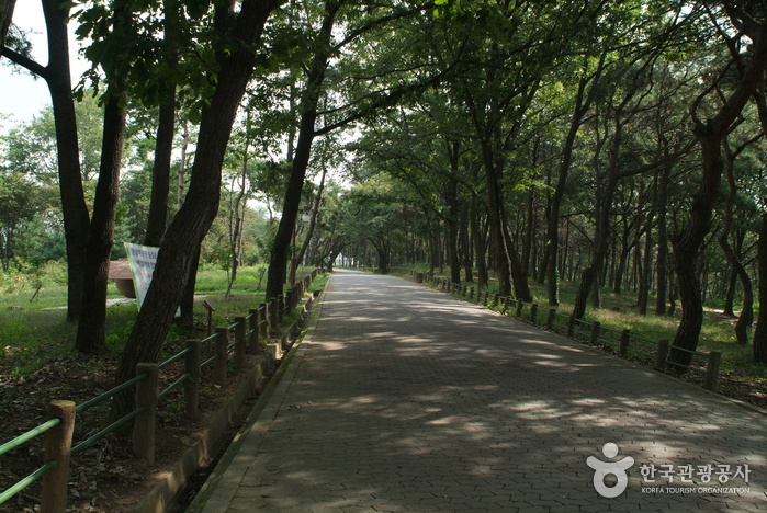 멈춰 쉬고 싶은 곳 충주호 코스 여행 가볼만한곳