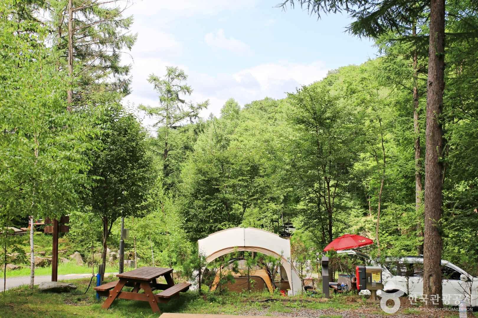 산림청 1호 숲속 야영장