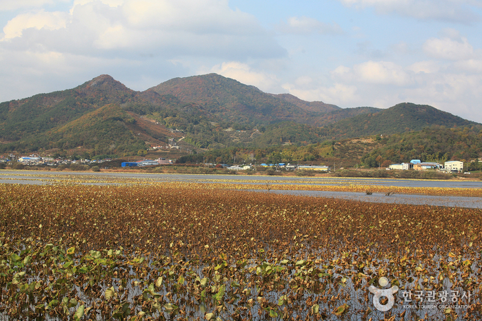바다, 항구, 문화, 예술을 품은 카멜레온의 도시 여행 가볼만한곳