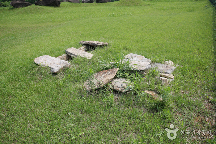 물 맑고 깨끗한 그 이름도 <span>청도</span>