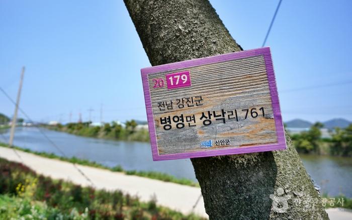 팽나무 출신 지역을 표시한 이름표