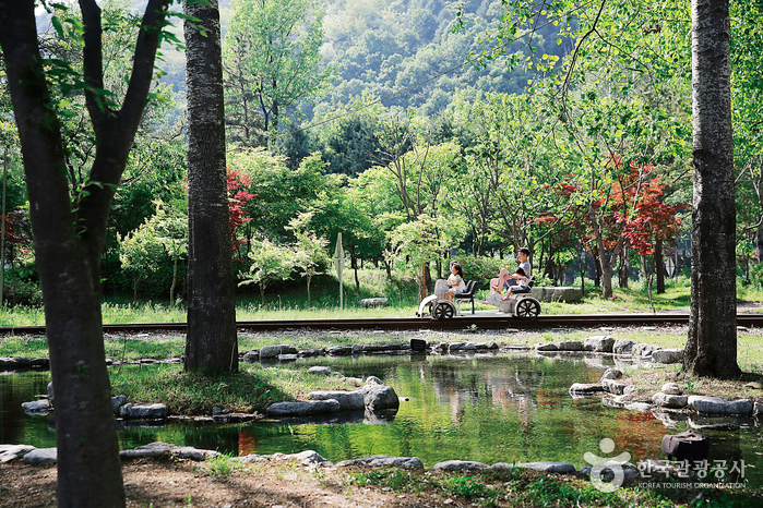 파로호 자전거길로 시작하는 생태여행 여행 가볼만한곳