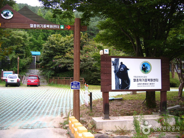 지리산에 깃든 산사의 매력을 느껴보다 여행 가볼만한곳