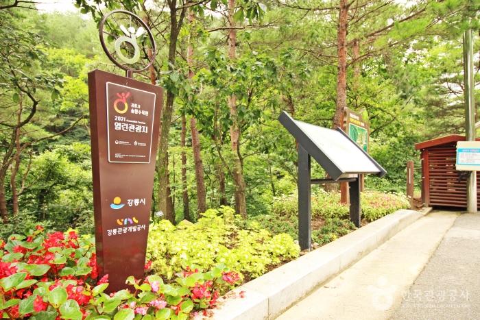 2021년 열린관광지인 강릉솔향수목원