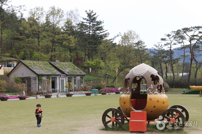 용천사 붉은 꽃무릇 보러 갈까? 여행 가볼만한곳