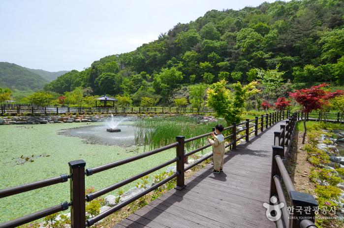 분수대와 정자가 있고, 연못 둘레를 따라 덱이 놓인 세량지생태공원