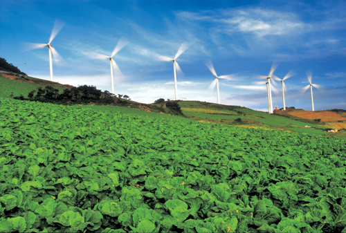 가족들을 위한 알짜배기 태백여행 여행 가볼만한곳