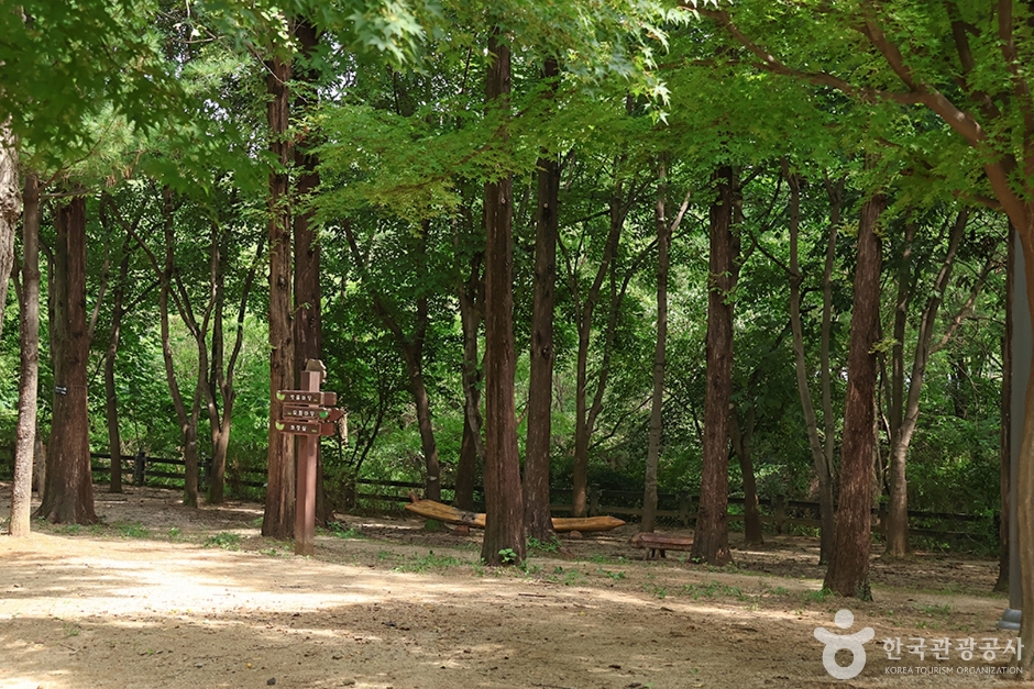 월드컵공원 유아숲체험원> 여행지 :대한민국 구석구석 월드컵공원 유아숲체험원> 여행지 :대한민국 구석구석 