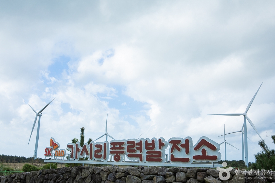 가시리국산화풍력발전단지 제주 애견여행지