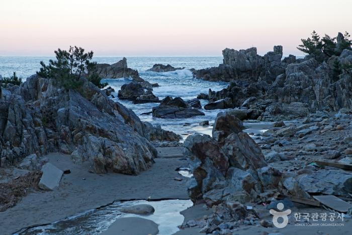 부남해변의 또 다른 주인공, 갯바위