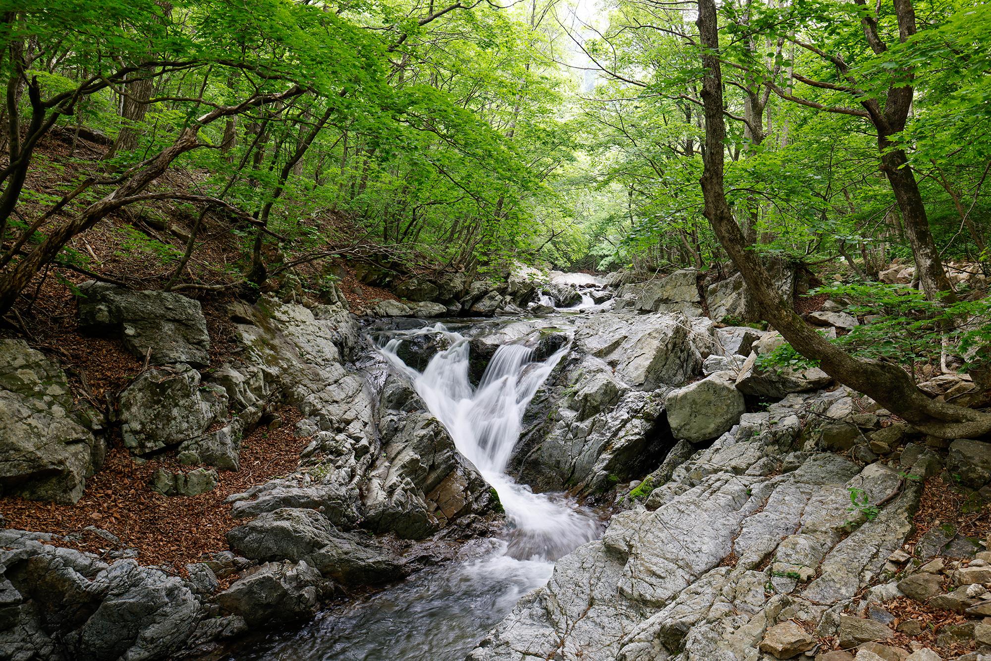 탐방로 중간에 만난 강선계곡의 물줄기