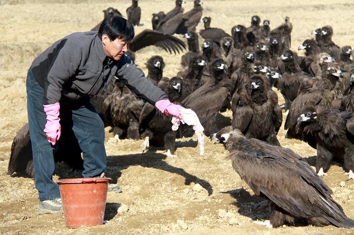 고성식육점 이미지