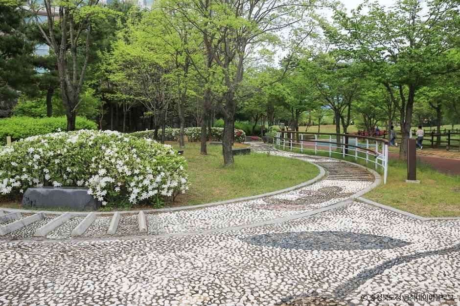 오송호수공원> 여행지 | 열린 관광 모두의 여행:대한민국 구석구석