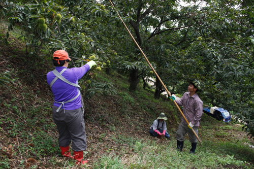 전남 구례 체험하러 가기 여행 가볼만한곳