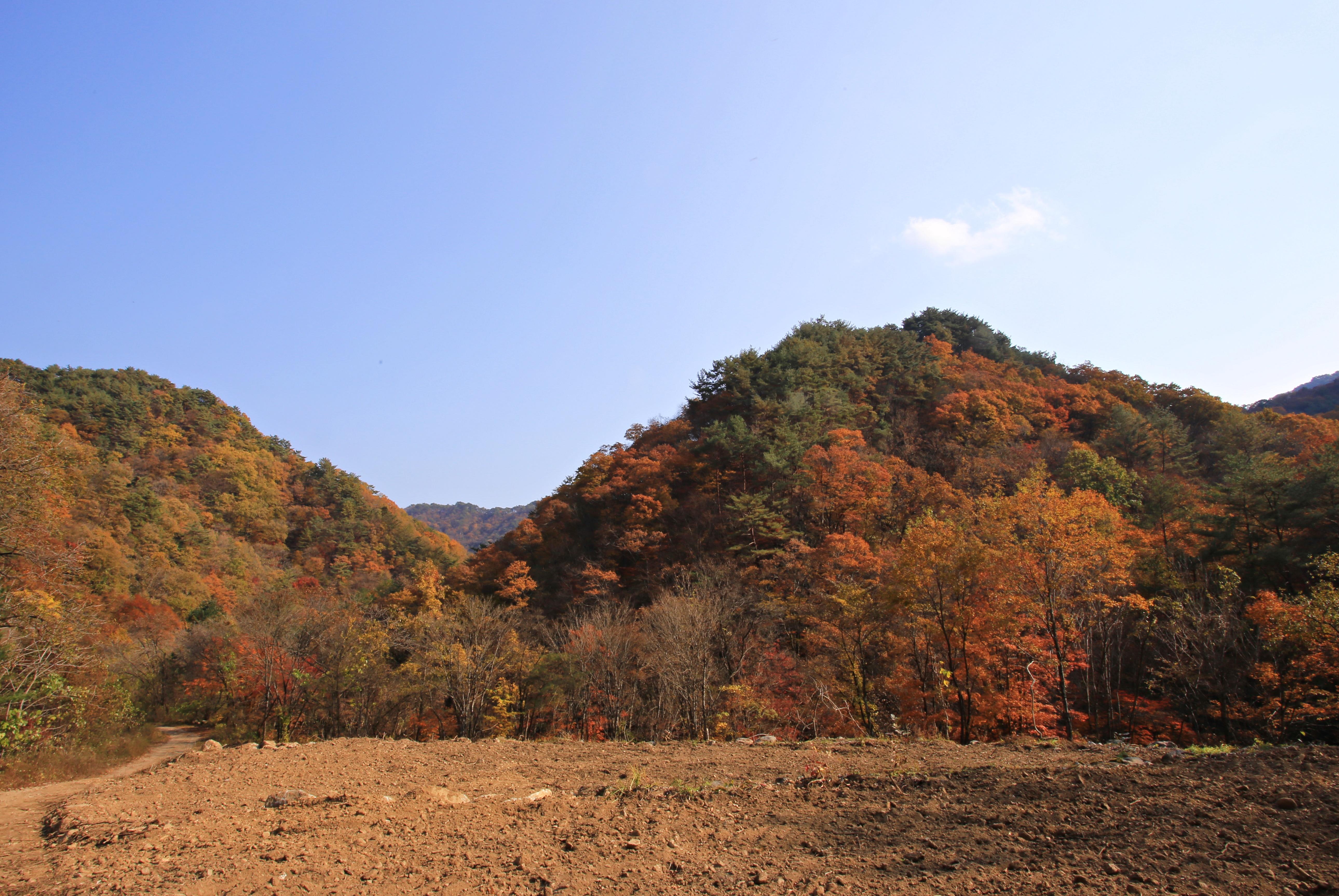 가을 한복판에서 만난 오지의 비수구미 마을> 여행기사 | DMZ 평화관광:대한민국 구석구석