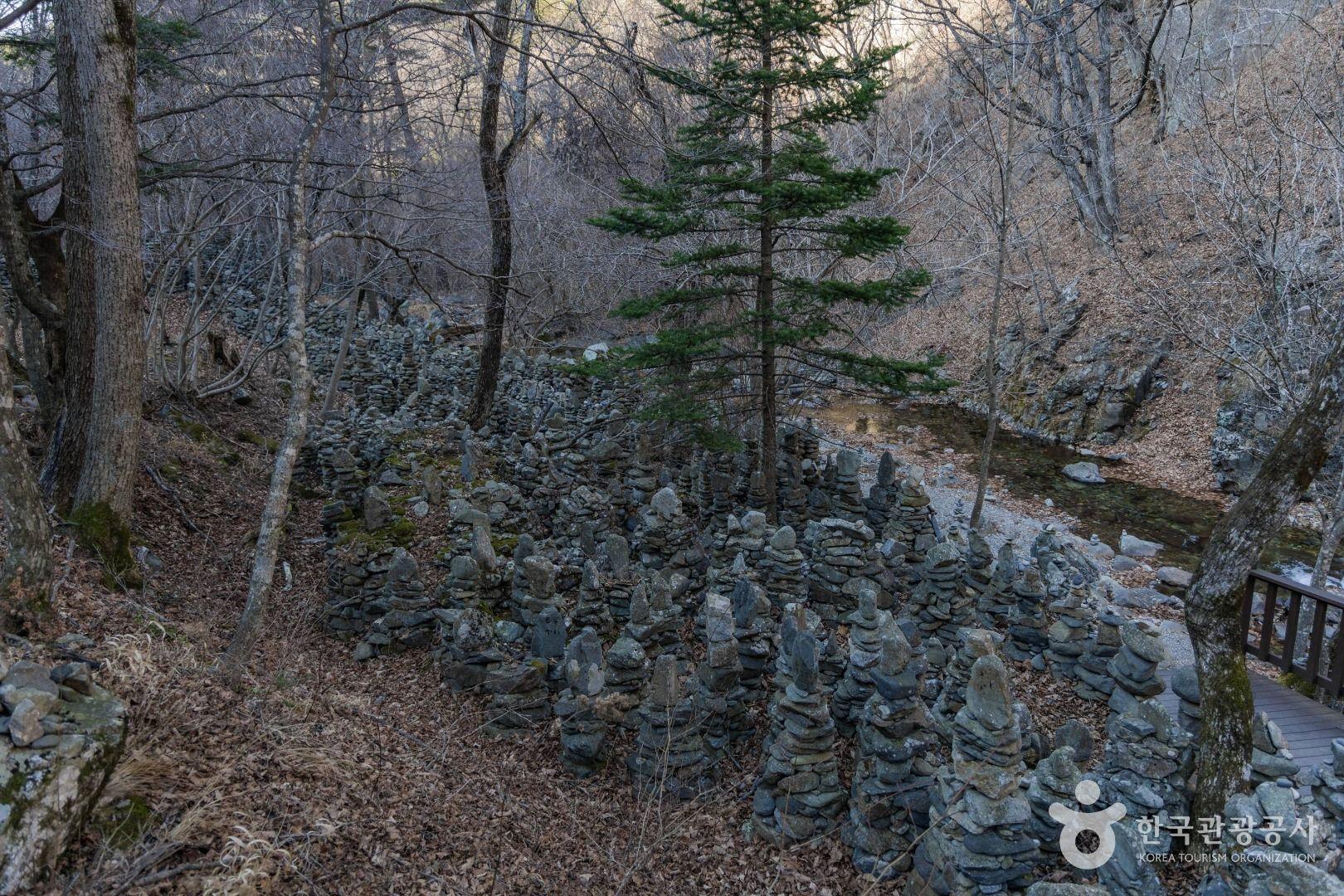 노추산 모정탑길
