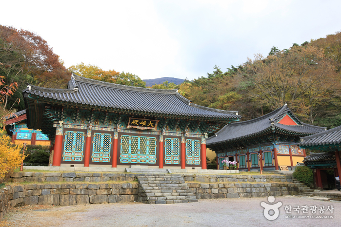 국립공원의 막내, 무등산을 오르다 여행 가볼만한곳