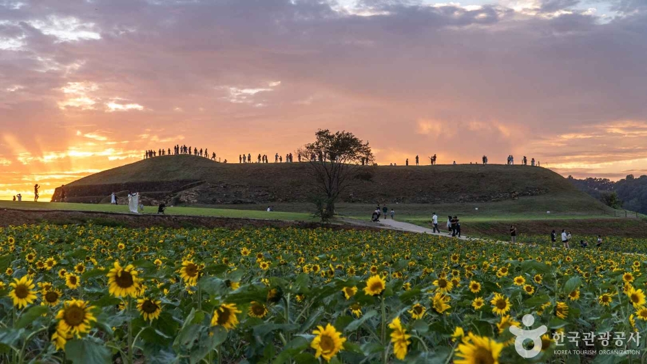 연천 호로고루 2