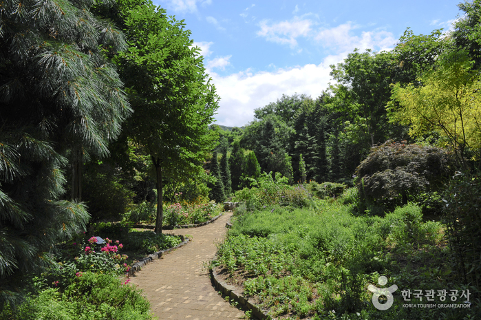바오밥나무 아래서 어린왕자 만나볼까? 여행 가볼만한곳