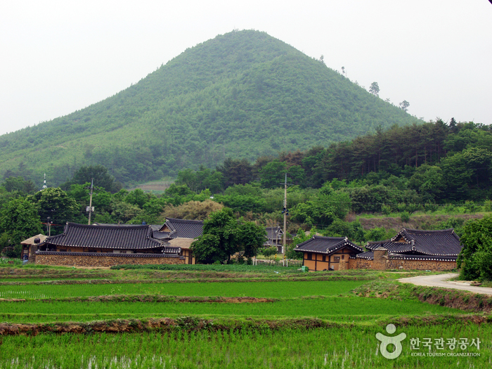 고성, 보랏빛 향기따라 왕곡마을과 하늬라벤더팜 여행 가볼만한곳