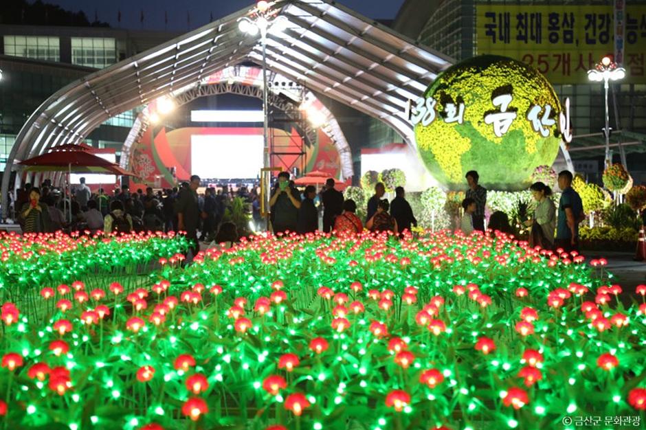 금산세계인삼축제 참고 이미지 2