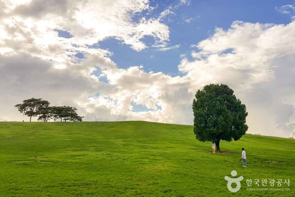 Olympic Park, an outdoor family place, stroller-friendly, in Seoul