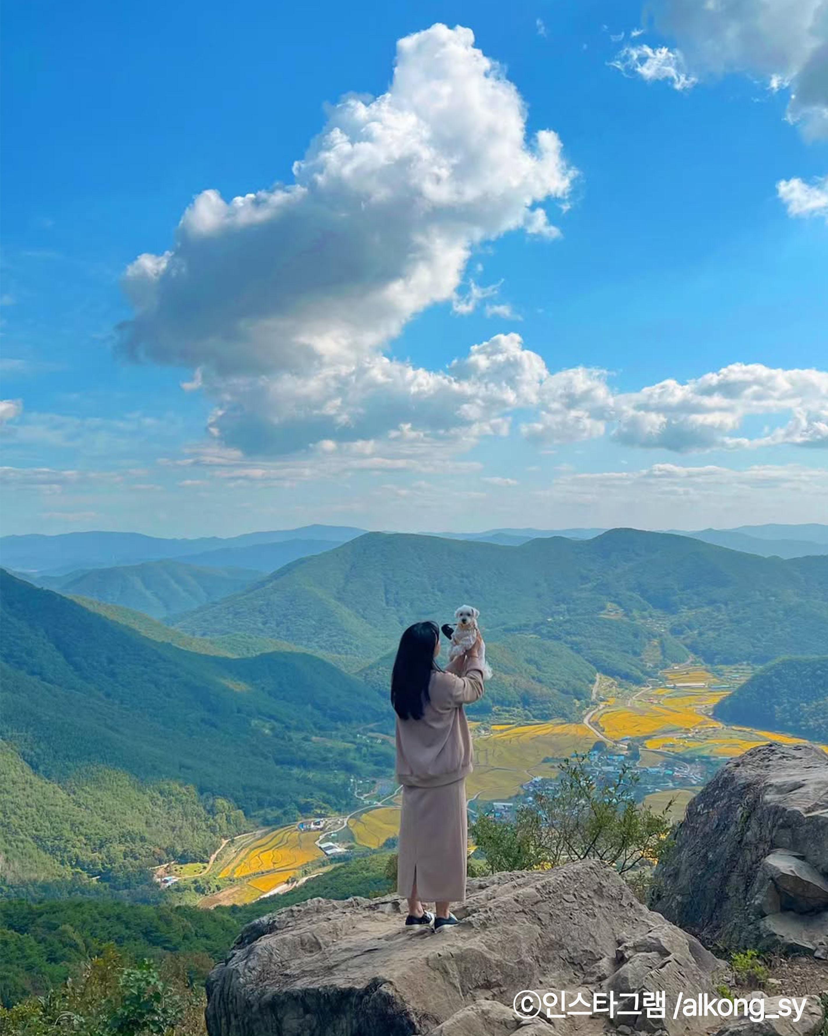 꽃잎도, 추억도 겹겹이 반려동물과 함께 떠나는 경주 겹벚꽃 여행!> 여행기사 | 반려동물 동반여행:대한민국 구석구석