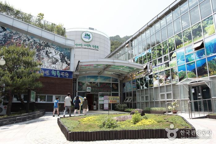 가야산국립공원 백운동탐방지원센터 아래 자리한 가야산야생화식물원