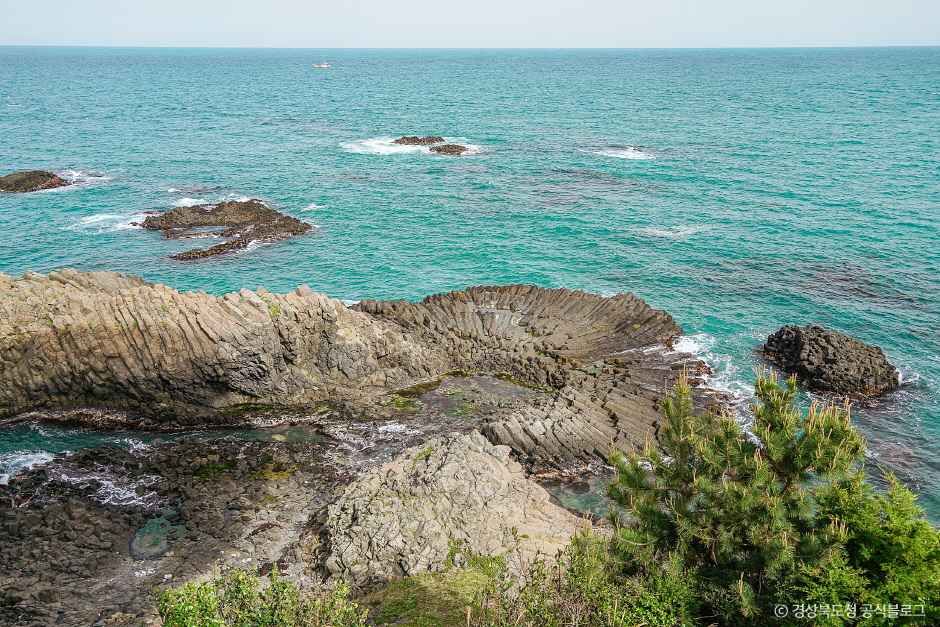 경주 양남 주상절리 전망대 3