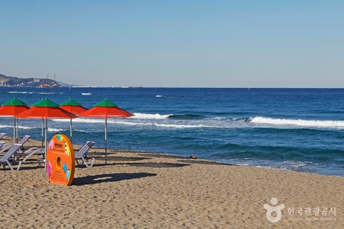 맹방해변의 황홀한 바다 빛