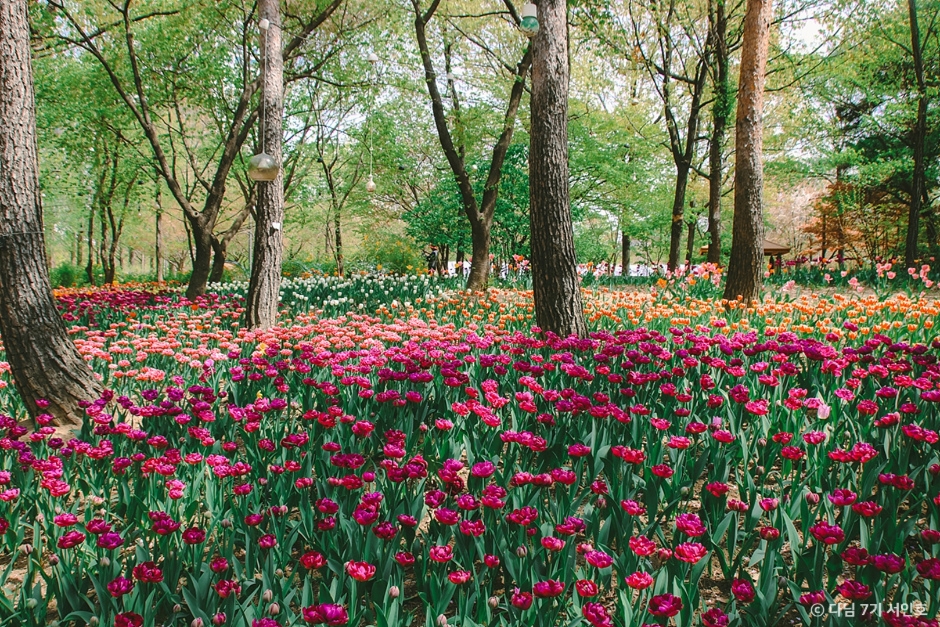 서울숲 17