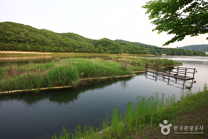성남의 멋과 맛을 찾아가는 식도락여행 여행 가볼만한곳