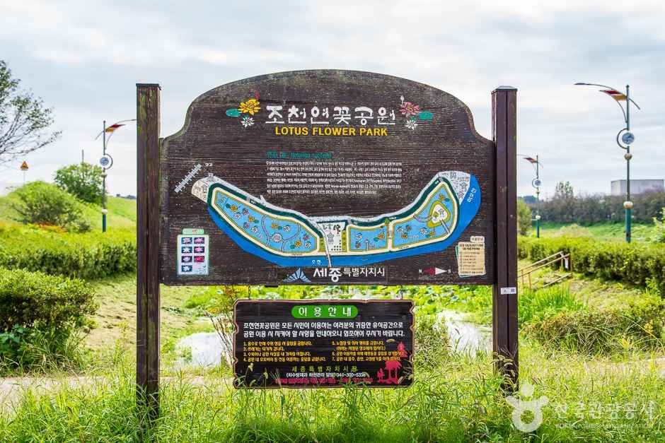 조천 연꽃공원