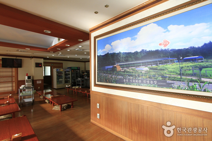 용전식육회관> 여행지 :대한민국 구석구석 용전식육회관> 여행지 :대한민국 구석구석 