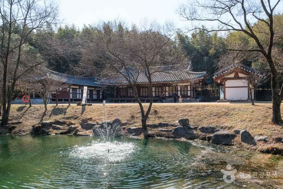 죽녹원 6
